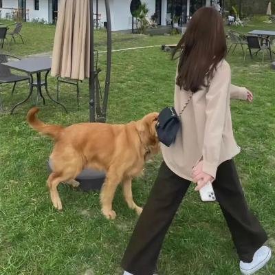 长慕未央