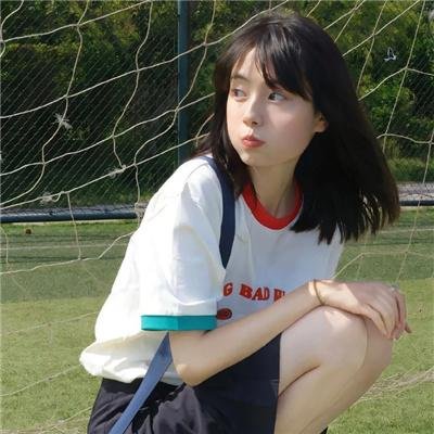 百日蔷薇